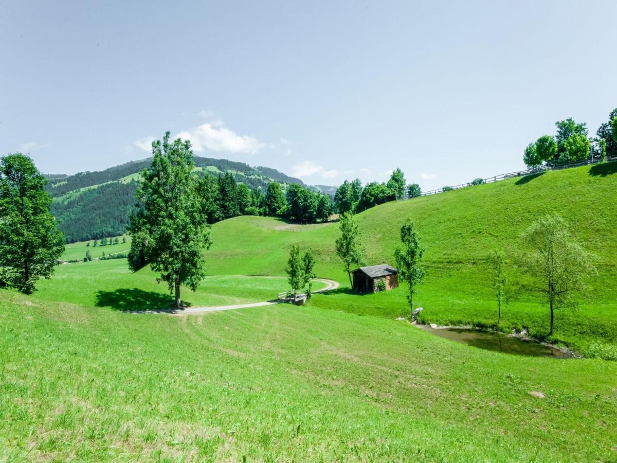 Cosy Flat In Westendorf In Tyrol Holzham Εξωτερικό φωτογραφία